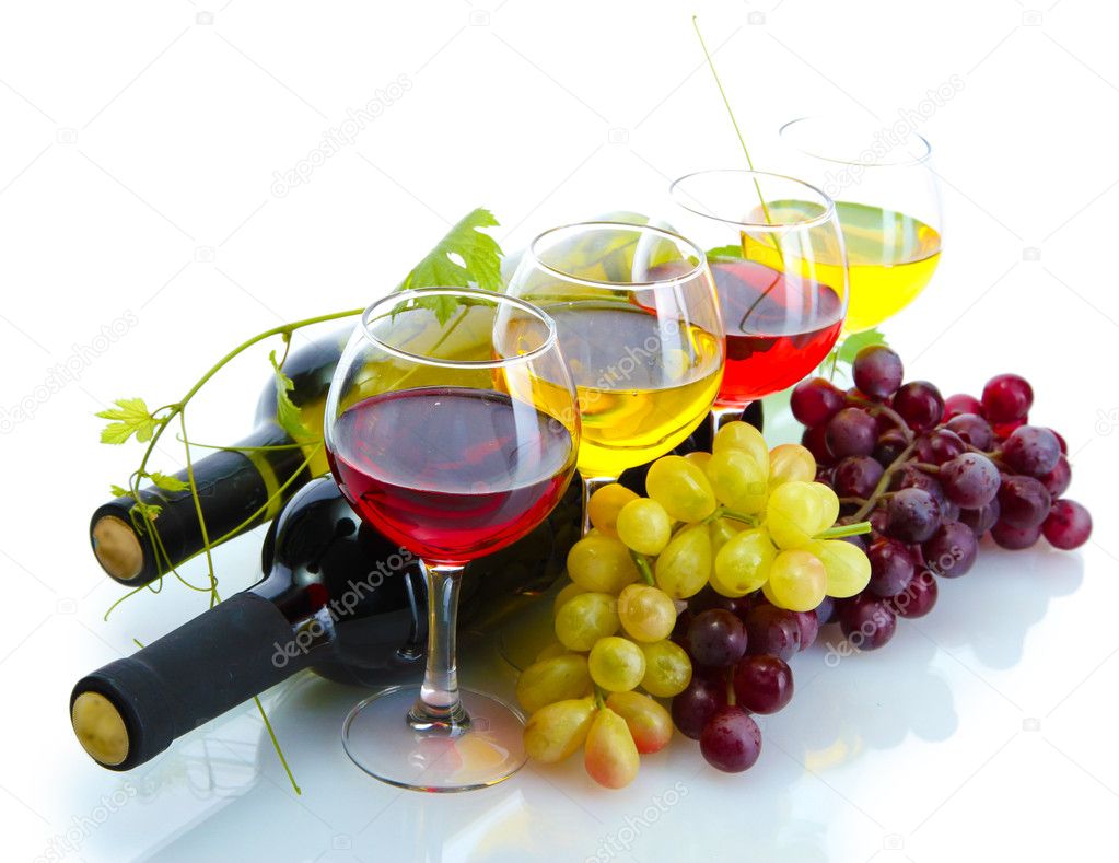 Groupe en dégustation guidée avec verres de vin