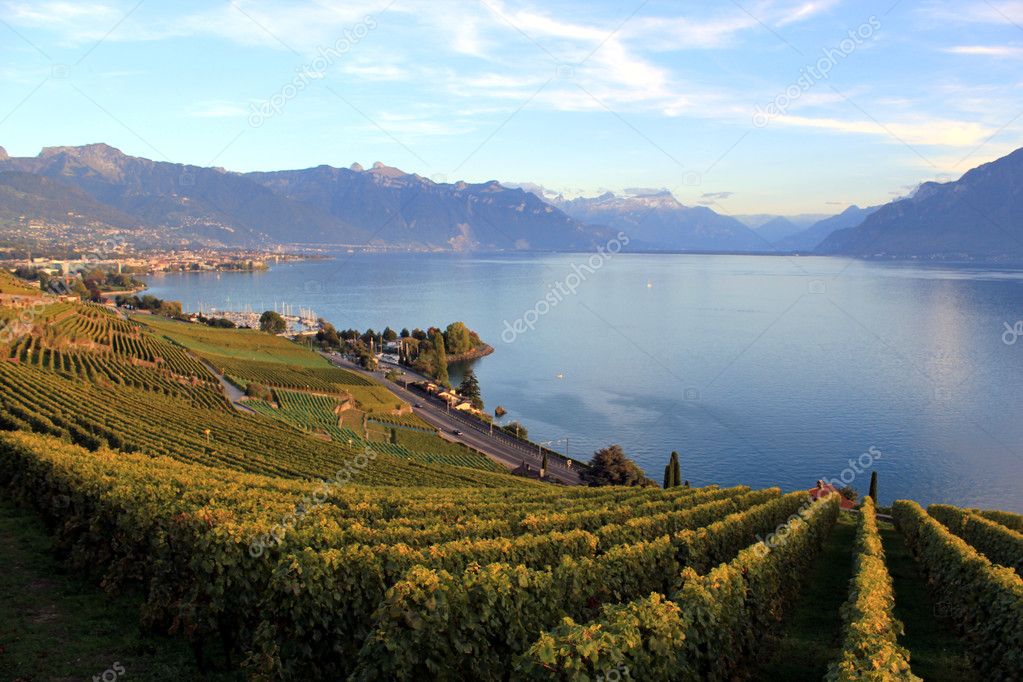 Sélection de vins suisses